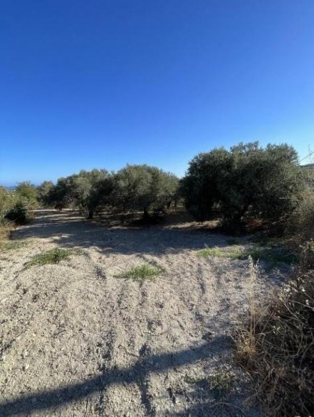 Episkopi bei Chania Kreta, Episkopi: Grundstück mit Meerblick, nahe dem Strand zu verkaufen Grundstück kaufen